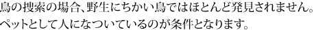 手乗りペットの鳥が条件となります