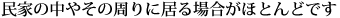 民家の中やその周辺に居る場合がほとんどです