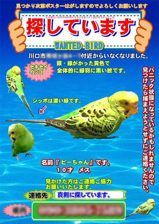 ペット捜索用ポスター1