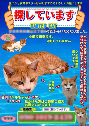 ペット捜索用ポスター1