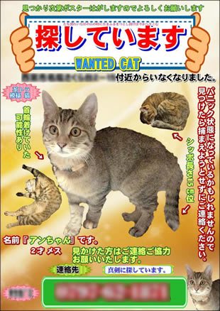 ペット捜索用ポスター1