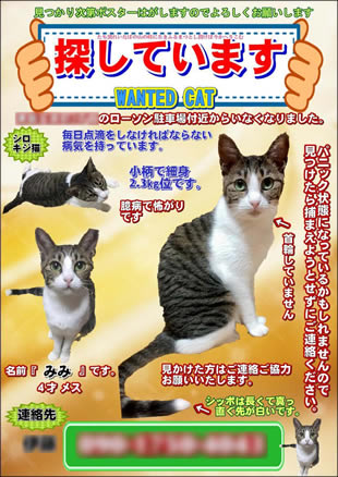 ペット捜索用ポスター1