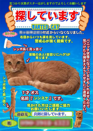 ペット捜索用ポスター1