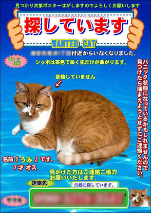 ペット捜索用ポスター1