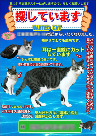 ペット捜索用ポスター1