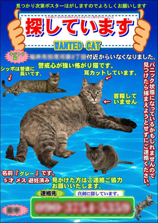 ペット捜索用ポスター1