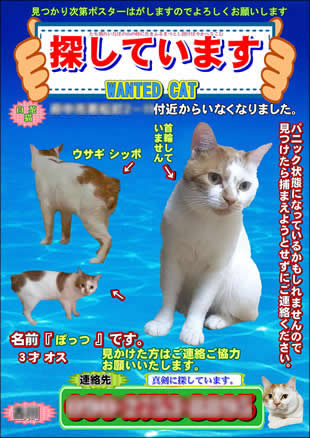 ペット捜索用ポスター1
