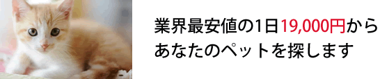 あなたのペット探します