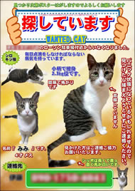 ポスターその9