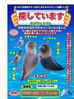 ポスターその2