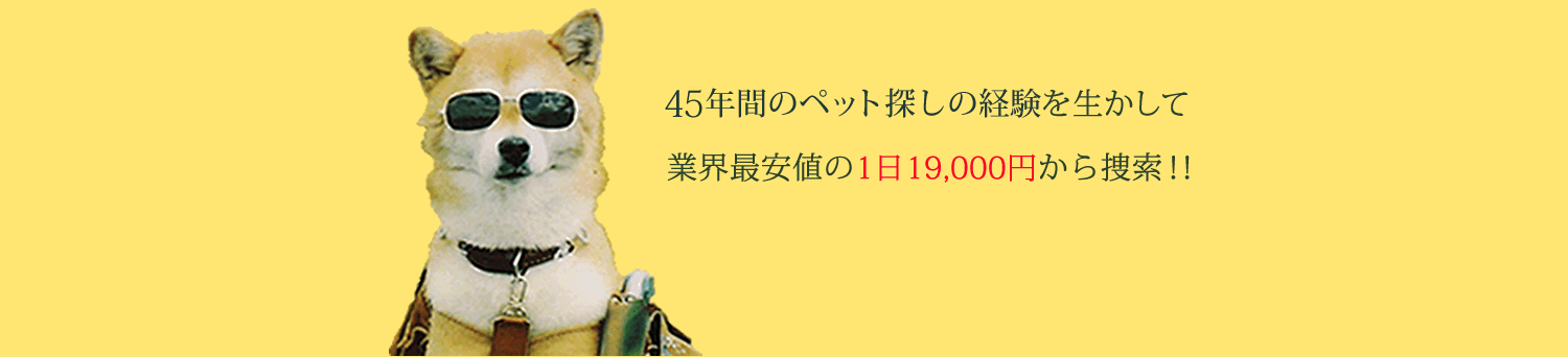 日本動物探偵社について